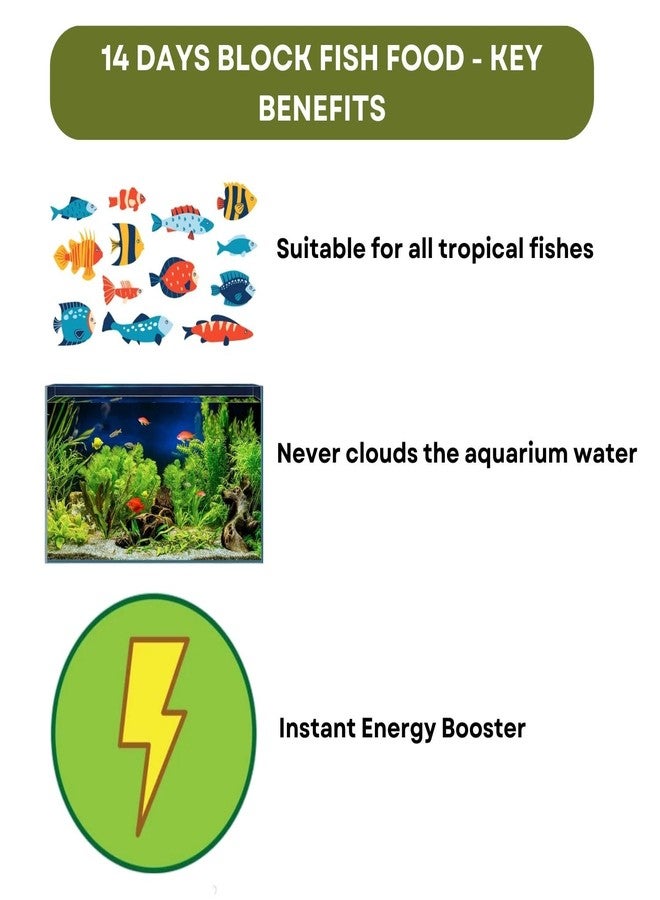 TUNAI SF+ Star 14 Days Extended Holiday Fish Food, (Pack of 2) | Adequate Nourishment for Your Aquarium Fish - Image 3